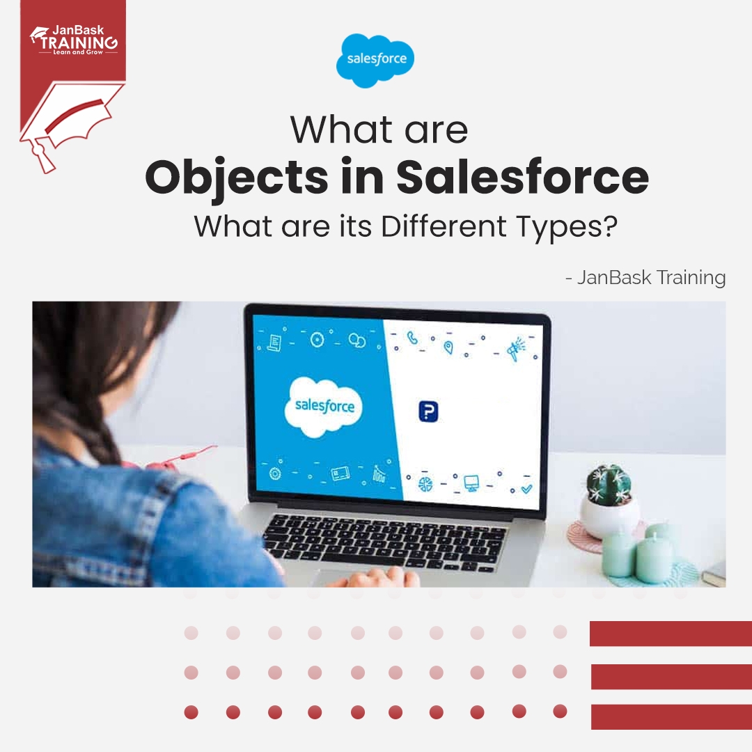 What Are the Various Categories of Objects That Can Be Found in Salesforce?