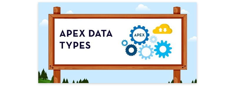 Types of Data Identifiers in Salesforce