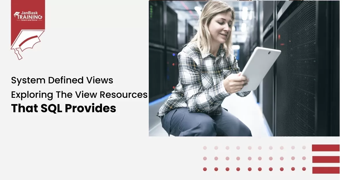 System Defined Views-Exploring The View Resources That SQL Provides icon